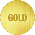Gold Storage Icon