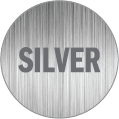 Silver Storage Icon